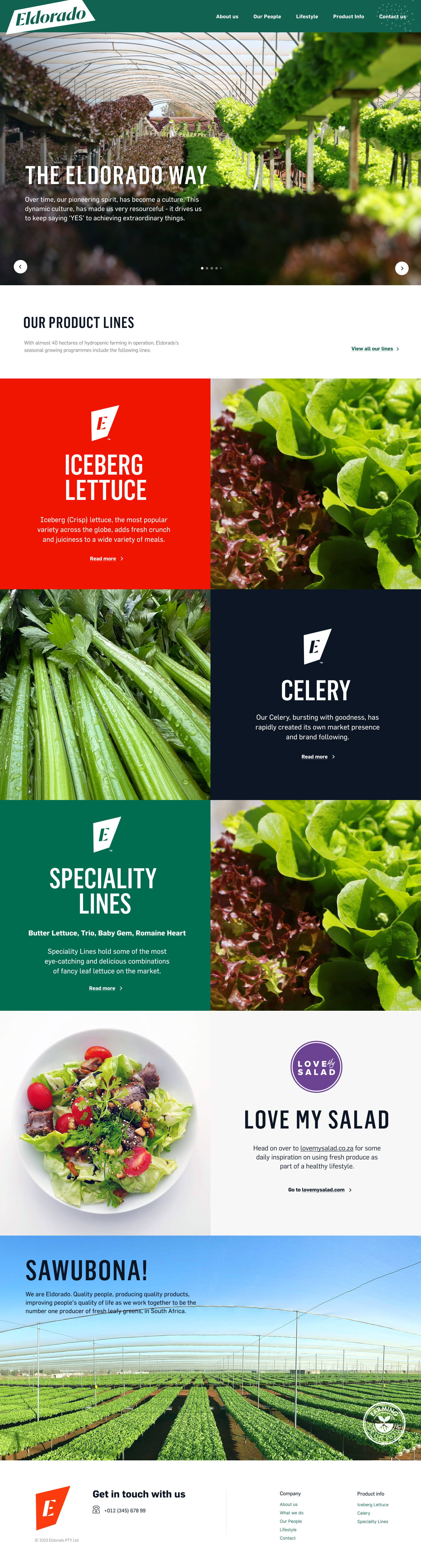 WordPress home page web design